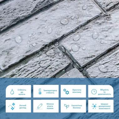 Декоративна ПВХ панель 960х480х4мм SW-00001841