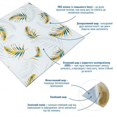 Панель стінова 3D 680х670х4мм Папороть на білому фоні (D) SW-00001981