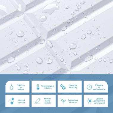 Декоративна ПВХ панель 960х480х4мм SW-00001779