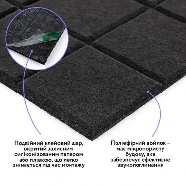 Звукоізоляційна панель 300х300х9мм Чорна SW-00002700